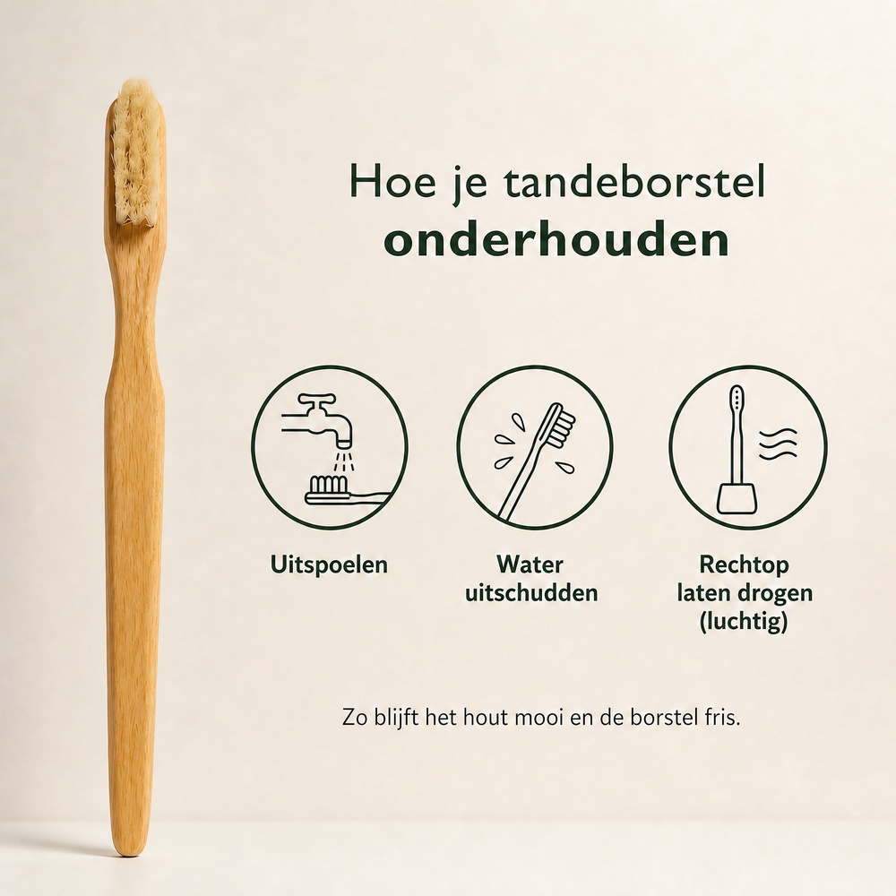 Purely-Wood-Beukenhouten-tandenborstel-met-varkenshaa
