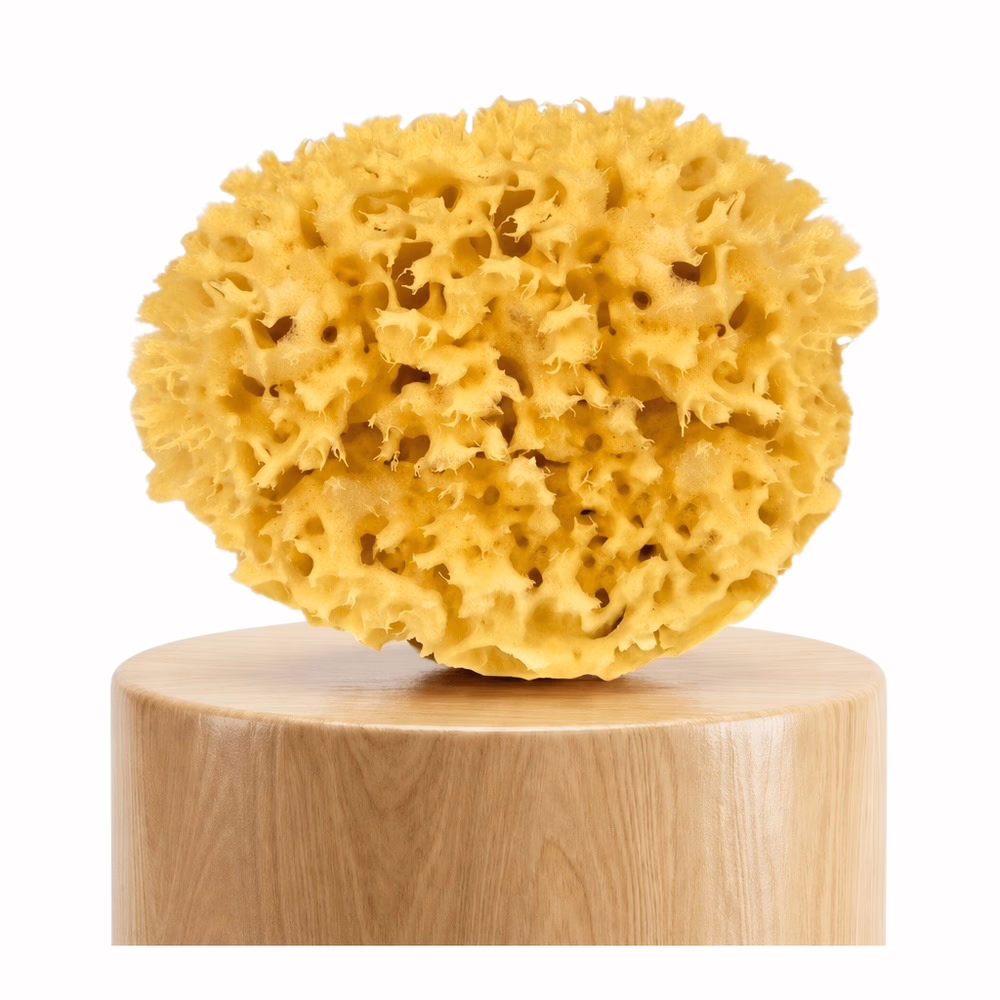 Purely-Good-Natuurlijke-Griekse-Zeespons-–-Premium-Honeycomb-kinderen-Zeespons-op-standaard