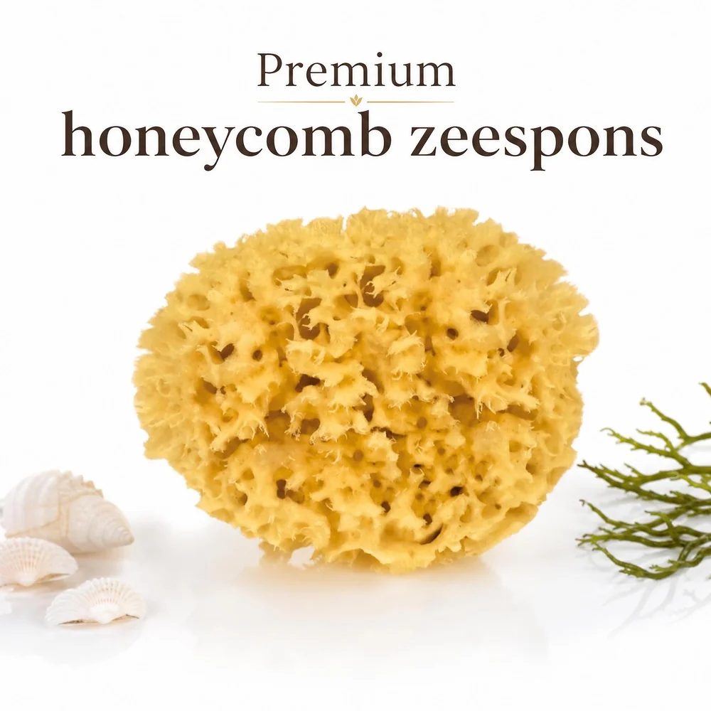 Purely Good premium honeycomb zeespons uit Griekenland met schelpjes en zeewier op witte achtergrond