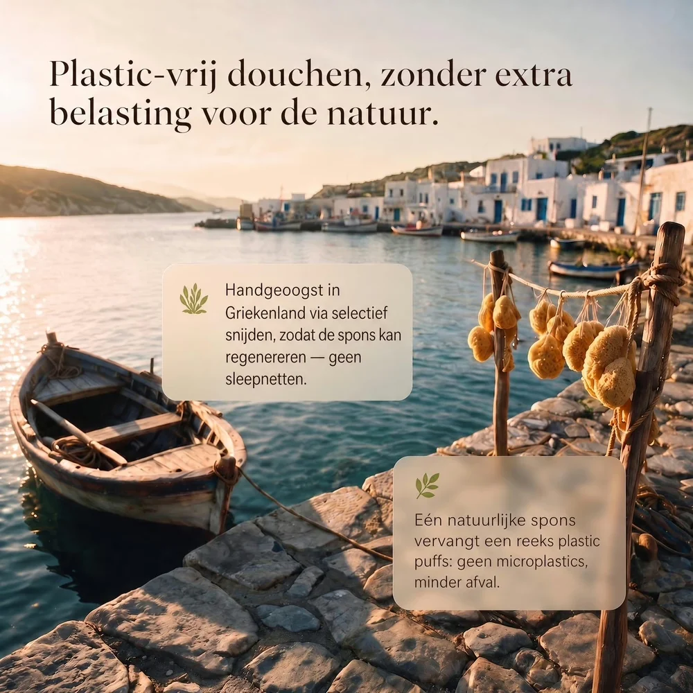 Purely Good - Natuurlijke spons 100% natuurlijk