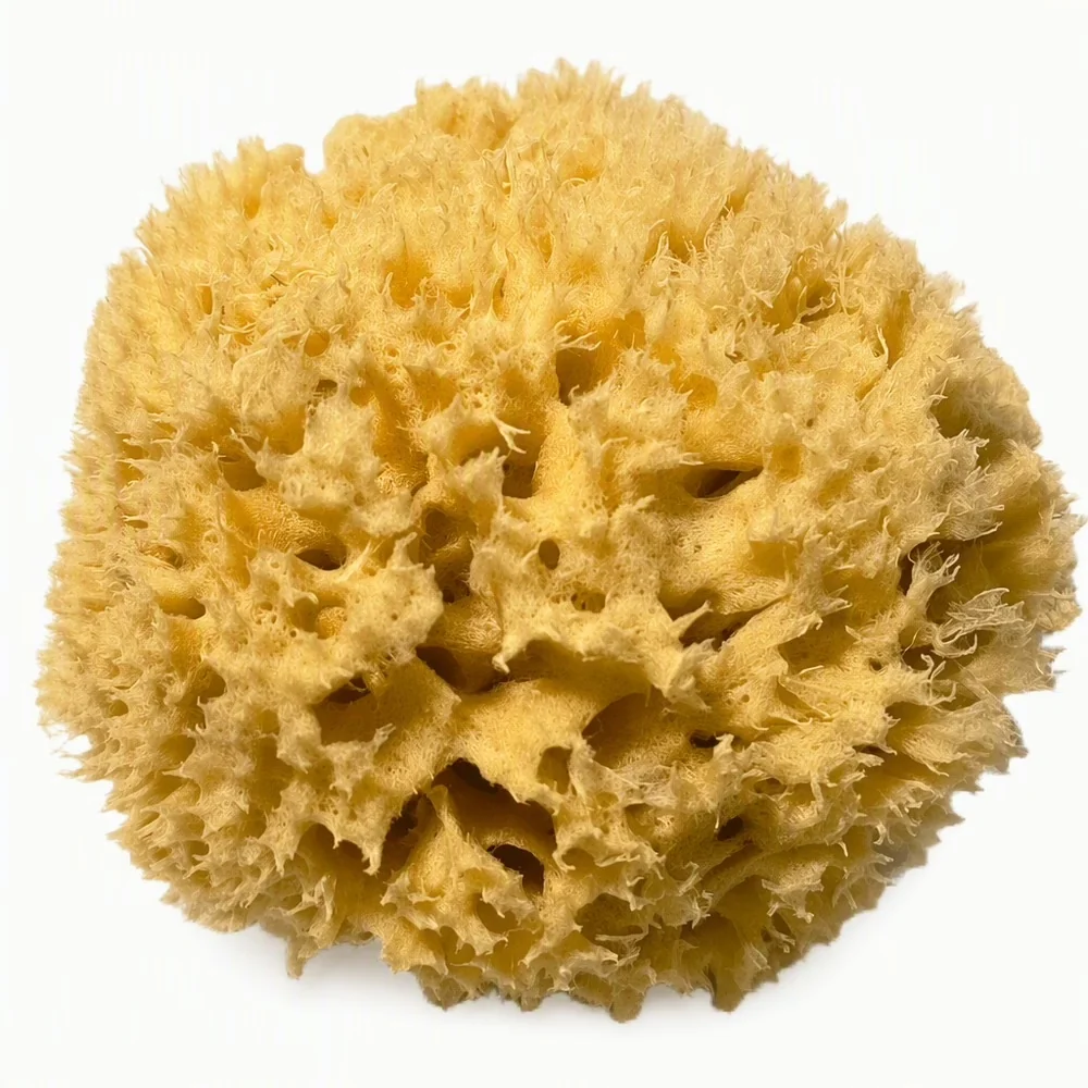Close-up van een natuurlijke spons van Purely Good met een poreuze, gele structuur