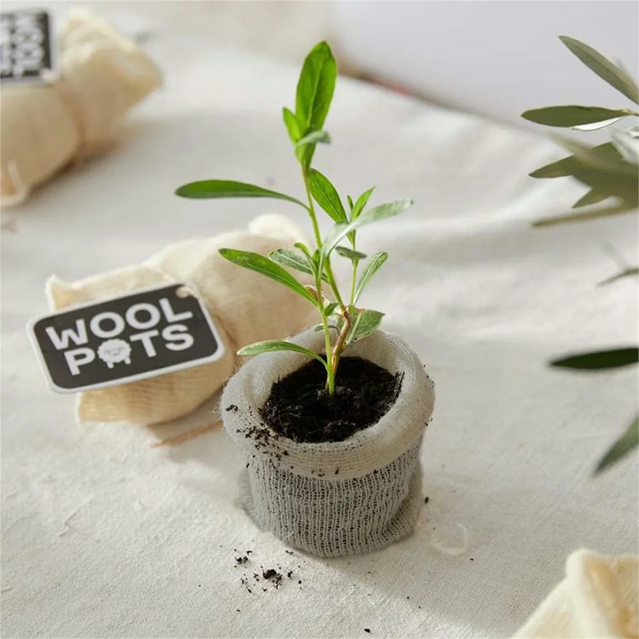 Jong plantje in een biologisch afbreekbaar wolpotje van Wool Pots op een linnen doek