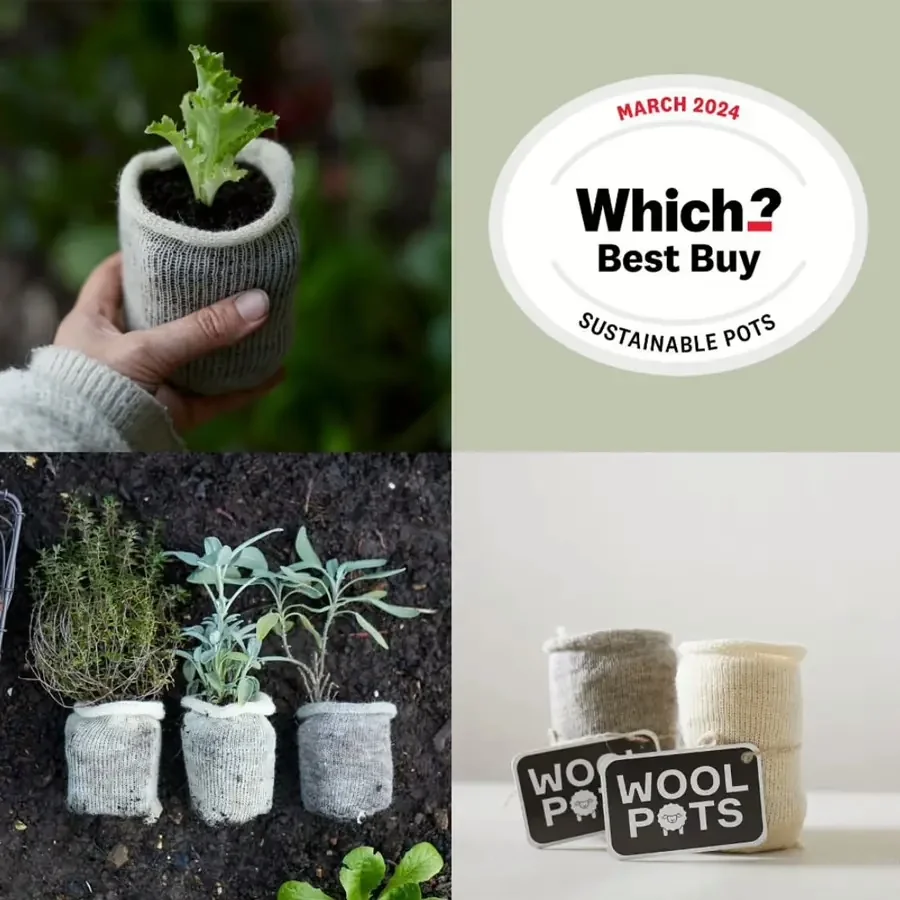 Wool Pots kweekpotjes van schapenwol met plantjes in aarde, verkozen tot Which? Best Buy maart 2024