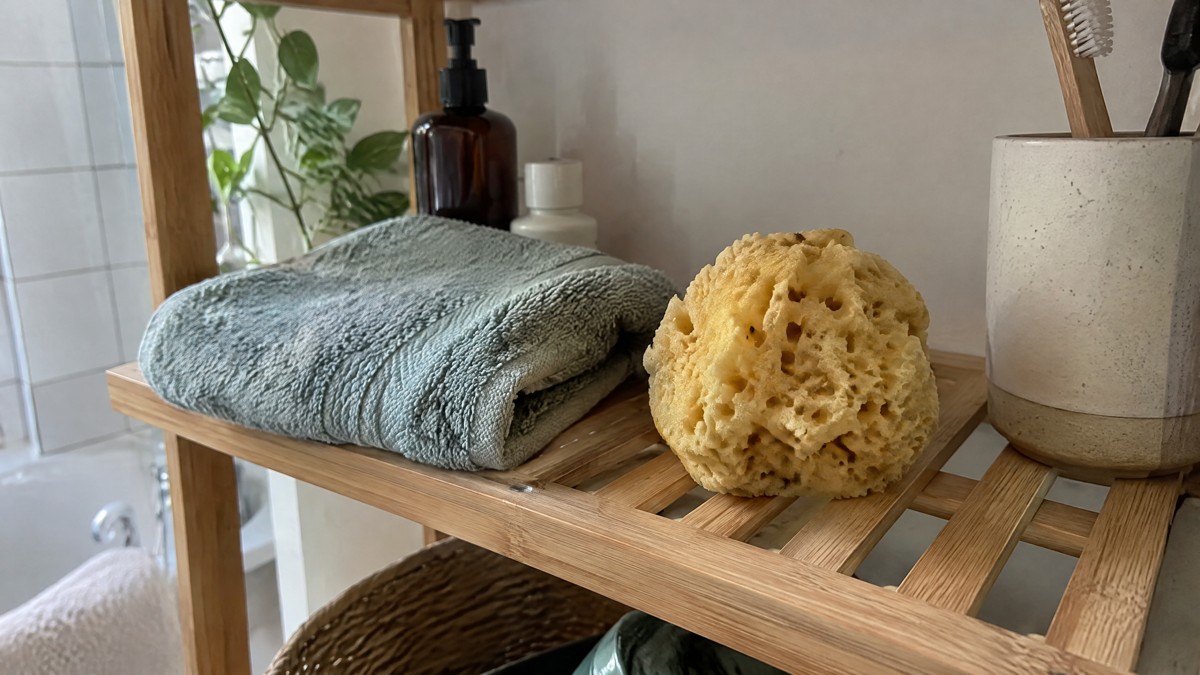 A candid phone photo of a damp natural sponge drying on a ventilated shelf beside a folded washcloth in an ordinary home